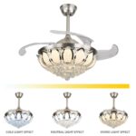 CEILING FAN AND LIGHT
